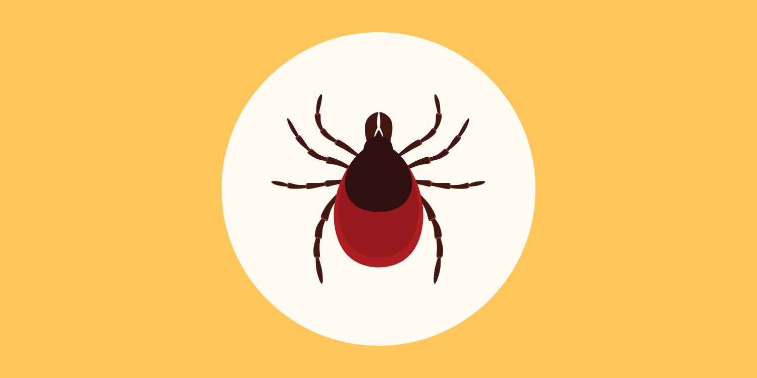 Lyme Disease Prophylaxis course image